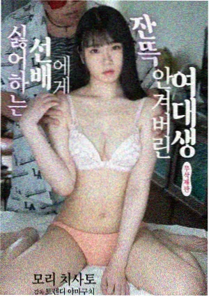 父子亲情文推荐书单封面